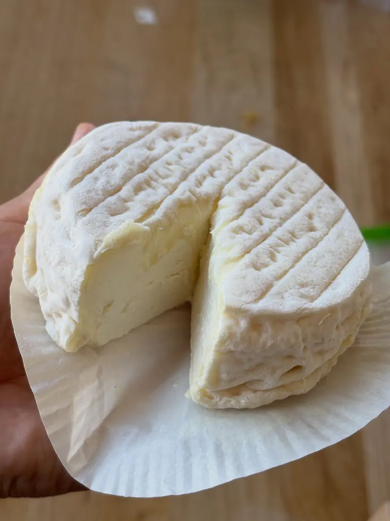 Een hele kaas met zachte korst, in de hand gehouden